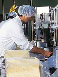 Allansford Cheese World - Accommodation Newcastle 1