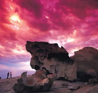 Kangaroo Island Adventure Tour 2 day/1 night - Accommodation Newcastle