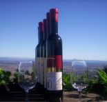 Mount Tamborine Winery  Homestead - Accommodation Newcastle
