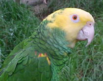 Gorge Wildlife Park - Accommodation Newcastle 3