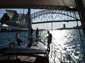 Kalypso Cruises - Accommodation Newcastle 2