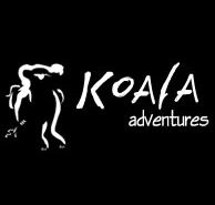 Koala Adventures - Accommodation Newcastle