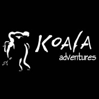 Koala Adventures - Accommodation Newcastle 0