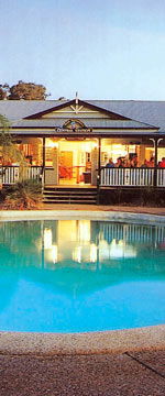 Koala Adventures - Accommodation Newcastle 2