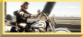 Easy Rider - Accommodation Newcastle 2