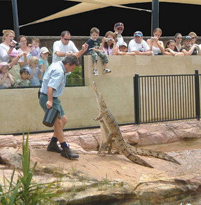 Symbio Wildlife Gardens - Accommodation Newcastle 3