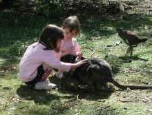 Urimbirra Wildlife Park - Accommodation Newcastle 1