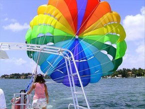 Parasail Australia - Accommodation Newcastle 3