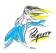 Polperro Dolphin Swims - Accommodation Newcastle
