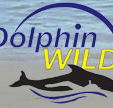 Dolphin Wild - Accommodation Newcastle