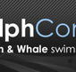 Dolphcom - Dolphin  Whale Swimming Adventures - Accommodation Newcastle