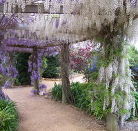 Abingdon Miniature Village - Accommodation Newcastle