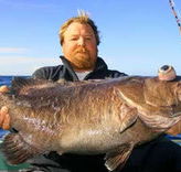 Bravo Fishing Charters - Accommodation Newcastle