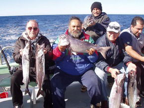 Bravo Fishing Charters - Accommodation Newcastle 1