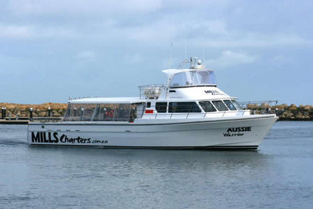 Mills Charters Fishing And Whale Watch Cruises - Accommodation Newcastle 1