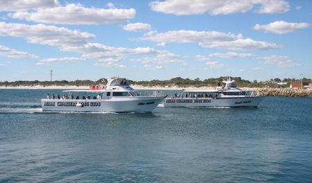 Mills Charters Fishing And Whale Watch Cruises - Accommodation Newcastle 2