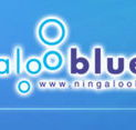 Ningaloo Blue Dive - Accommodation Newcastle