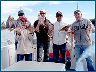 Odyssey Charters - Accommodation Newcastle 2