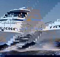 Sunshine Coast Fishing Charters - Accommodation Newcastle