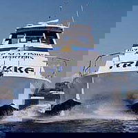 Sunshine Coast Fishing Charters - Accommodation Newcastle 0