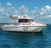 Sunshine Coast Fishing Charters - Accommodation Newcastle 1