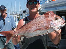 Sunshine Coast Fishing Charters - Accommodation Newcastle 2