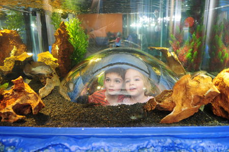 Scitech - Accommodation Newcastle 3