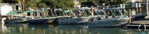 Brooklyn Central Boat Hire & General Store - Accommodation Newcastle 1