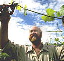 Barossa Experience Tours - Accommodation Newcastle