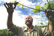 Barossa Experience Tours - Accommodation Newcastle 0