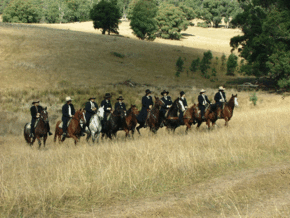 McCormacks Mountain Valley Trail Rides - Accommodation Newcastle 0