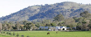 Blue Gum Farm - Accommodation Newcastle 1