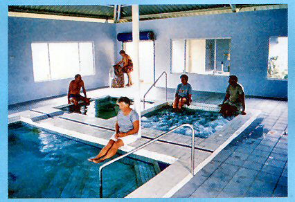 Innot Hot Springs Leisure & Health Park - Accommodation Newcastle 0