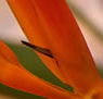 Zen Day Spa - Accommodation Newcastle