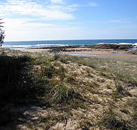 Deepwater National Park - Accommodation Newcastle
