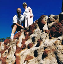 Mystery Craters - Accommodation Newcastle 2