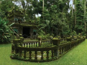 Paronella Park - Accommodation Newcastle 2