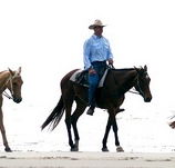 Ride the Beach - Accommodation Newcastle