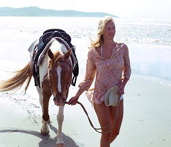 Ride The Beach - Accommodation Newcastle 3