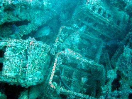 Underwater Sports Diving Centre - Accommodation Newcastle 0