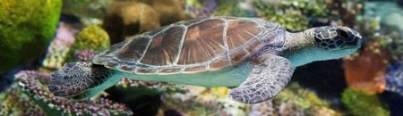 Melbourne Aquarium - Accommodation Newcastle 1