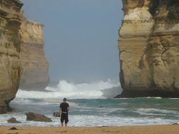 Book Melbourne VIC Attractions Accommodation Newcastle Accommodation Newcastle