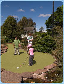 Wetlands Mini Golf - Accommodation Newcastle 0