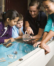 The Rocks Discovery Museum - Accommodation Newcastle 3