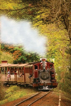 Puffing Billy - Accommodation Newcastle 5