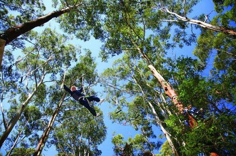 FreemanX Experience - Accommodation Newcastle 5