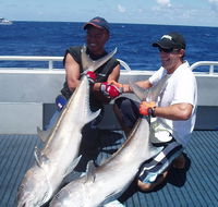Blue Juice Charters - Accommodation Newcastle