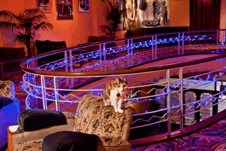 The Astor Theatre - Accommodation Newcastle 3