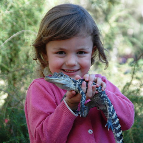 Australian Reptile Park - Accommodation Newcastle 2