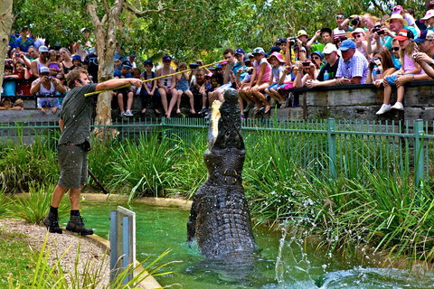 Australian Reptile Park - Accommodation Newcastle 4
